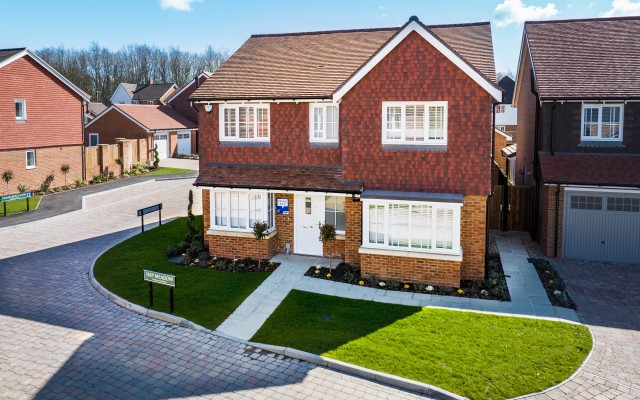 Plot 16